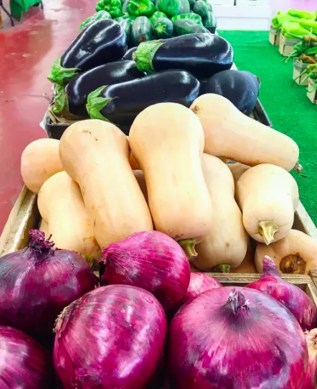 Butternut squash, turnips and eggplant in the produce display