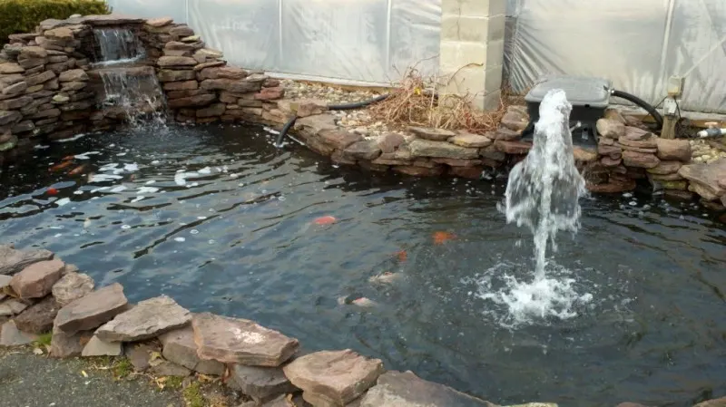 A rock-lined display pond with a fountain at Gene's