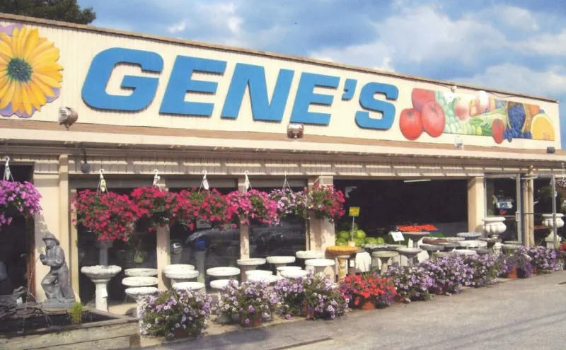 Gene's roadside market, with its colorful sign and rows of flowers